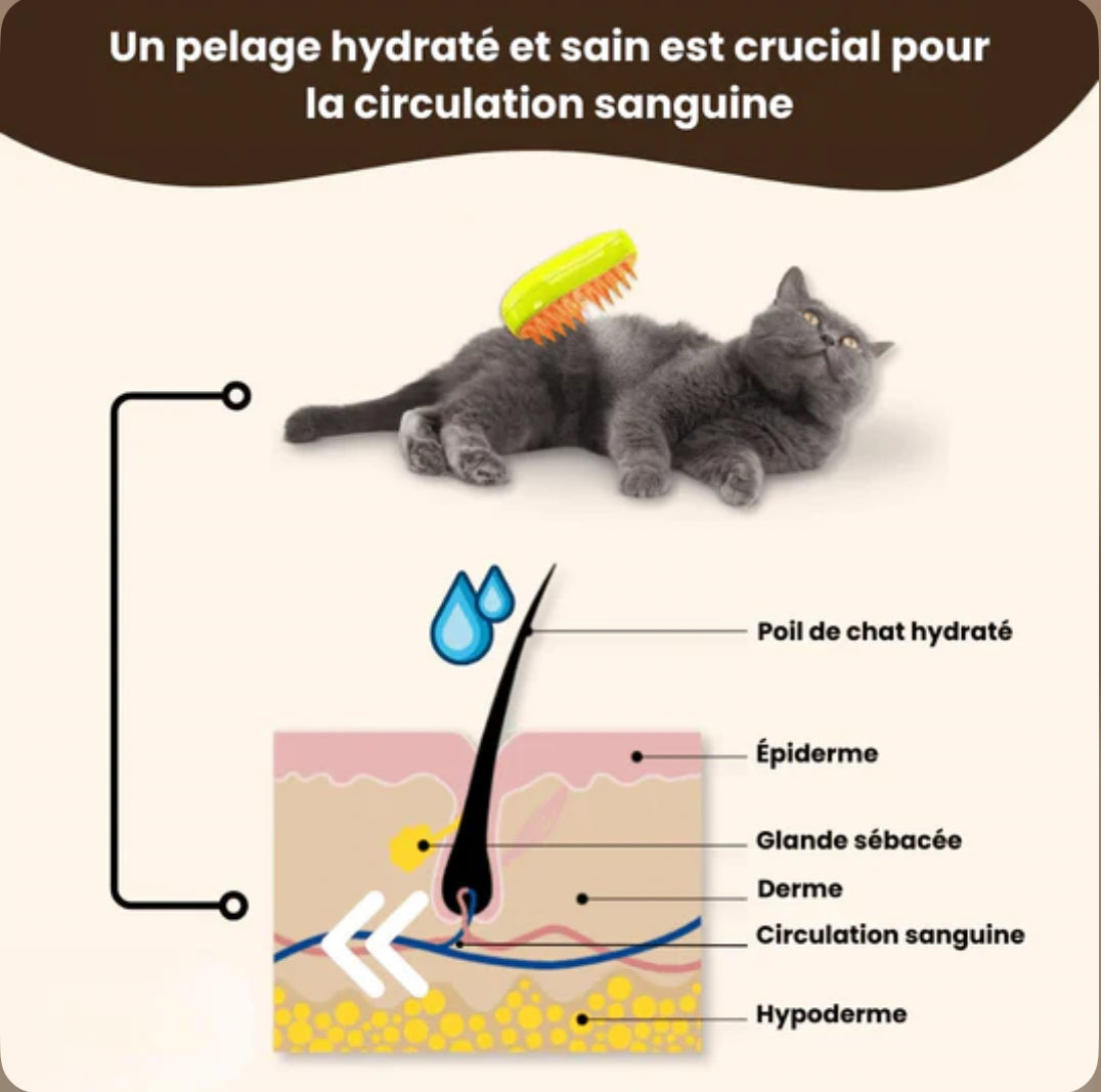 Brosse vapeurs